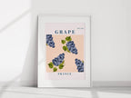 Grape France Print | Fruit Wall Art - Larosier Prints