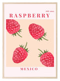 Raspberry Mexico Print | Colourful Fruit Wall Art - Larosier Prints