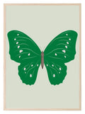 Emerald Green Butterfly Print - Larosier Prints