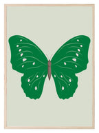 Emerald Green Butterfly Print - Larosier Prints