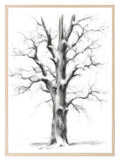 Winter Tree Print | Nature Wall Art - Larosier Prints