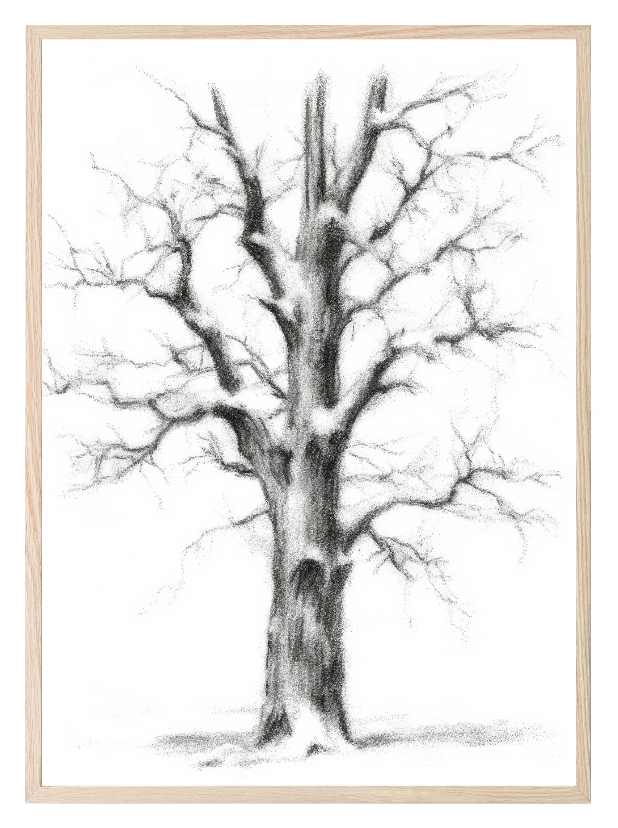 Winter Tree Print | Nature Wall Art - Larosier Prints
