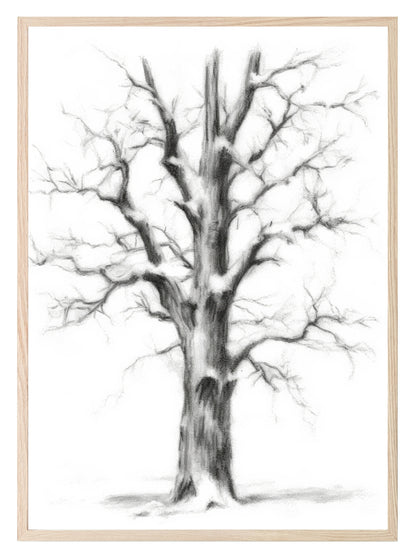 Winter Tree Print | Nature Wall Art