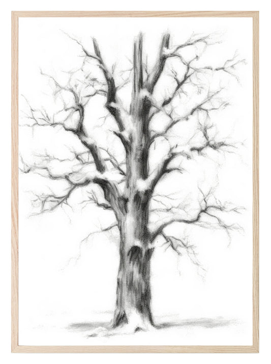 Winter Tree Print | Nature Wall Art