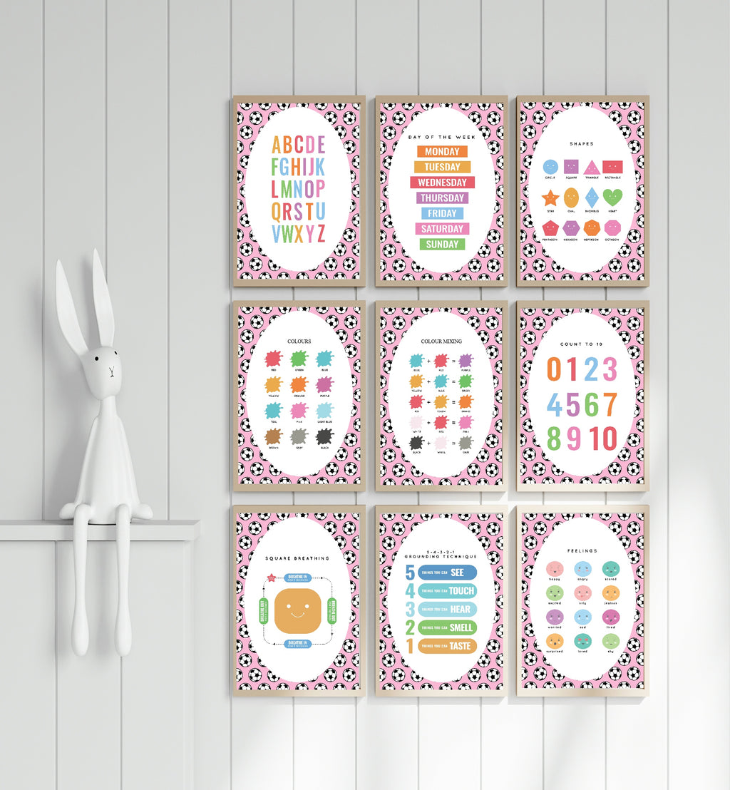 Pink Football Feelings Meter Poster | Emotional Support Tool Wall Art