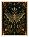 Autumn Moth wall art print