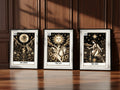 The Moon, Sun and Star Tarot prints displayed together