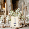 Celestial Swan wedding table numbers