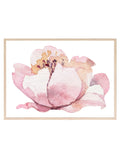 Watercolour Flower Print | Botanical Wall Art - Larosier Prints