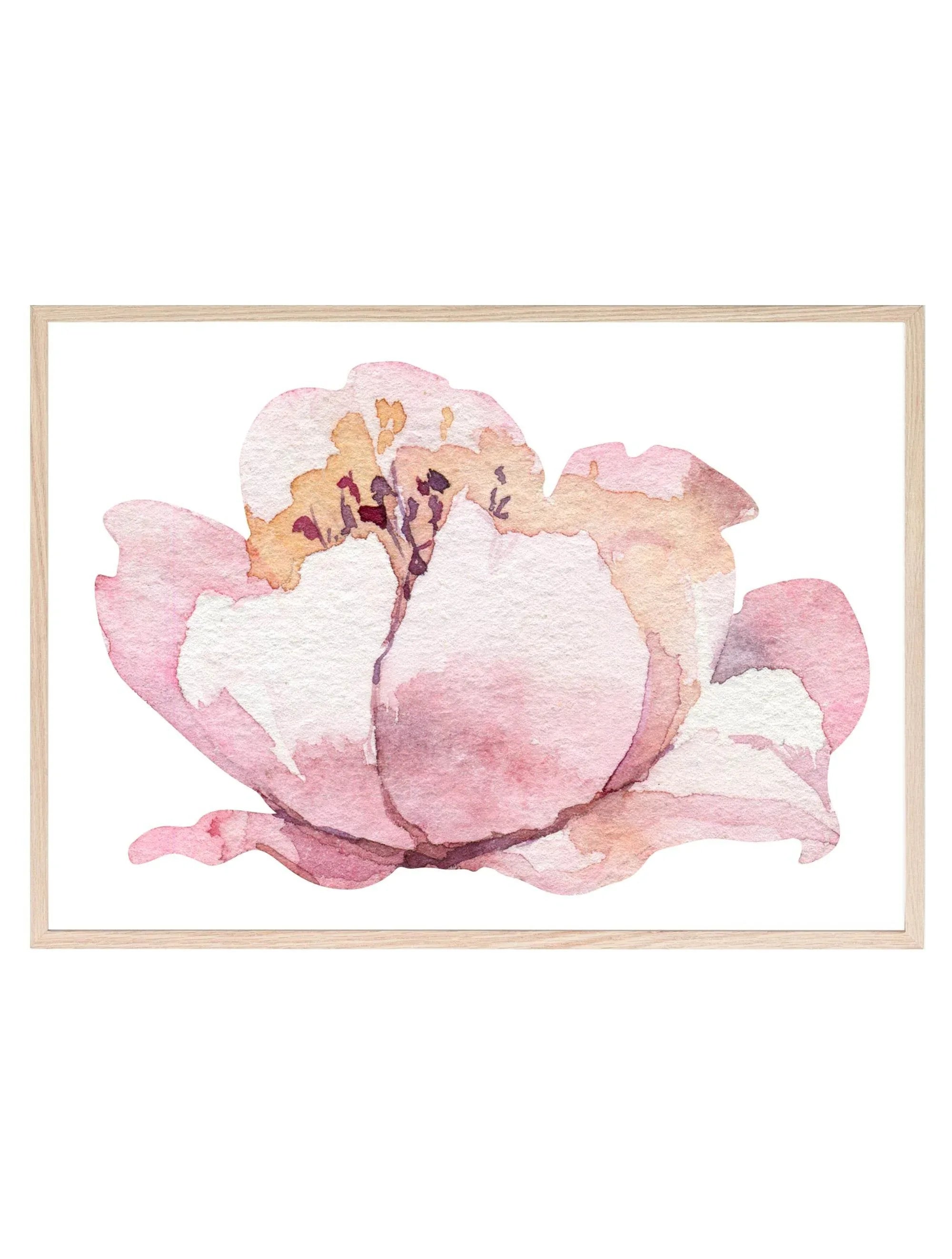 Watercolour Flower Print | Botanical Wall Art - Larosier Prints