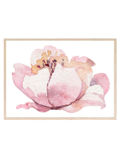 Watercolour Flower Print | Botanical Wall Art