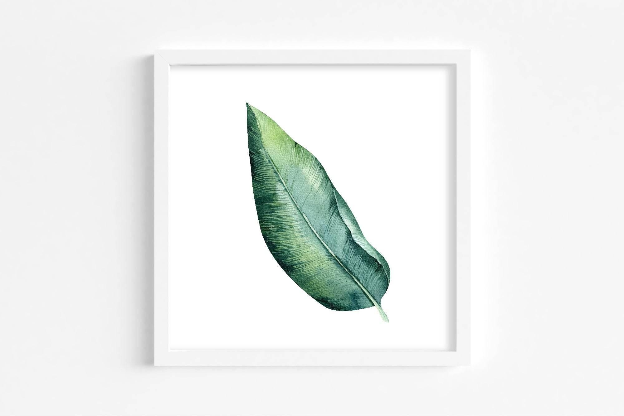 Botanical Leaf Print | Collection Of Watercolour Leaves Wall Art - Larosier Prints