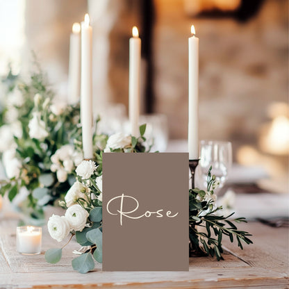 Earth Pack of Table Names Wedding Party Signs | A5