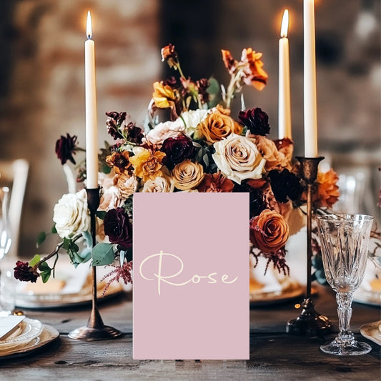 Dusky Pink Pack of Table Names Wedding Party Signs | A5