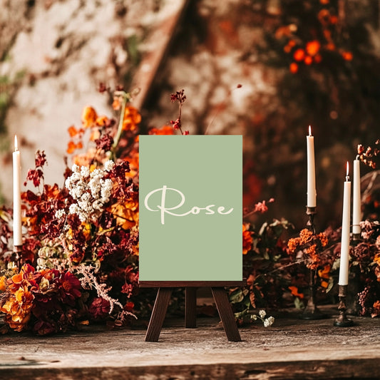 Willow Pack of Table Names Wedding Party Signs | A5