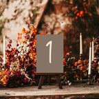 Earth Pack of Table Number Wedding Party Signs | A5 - Larosier Prints