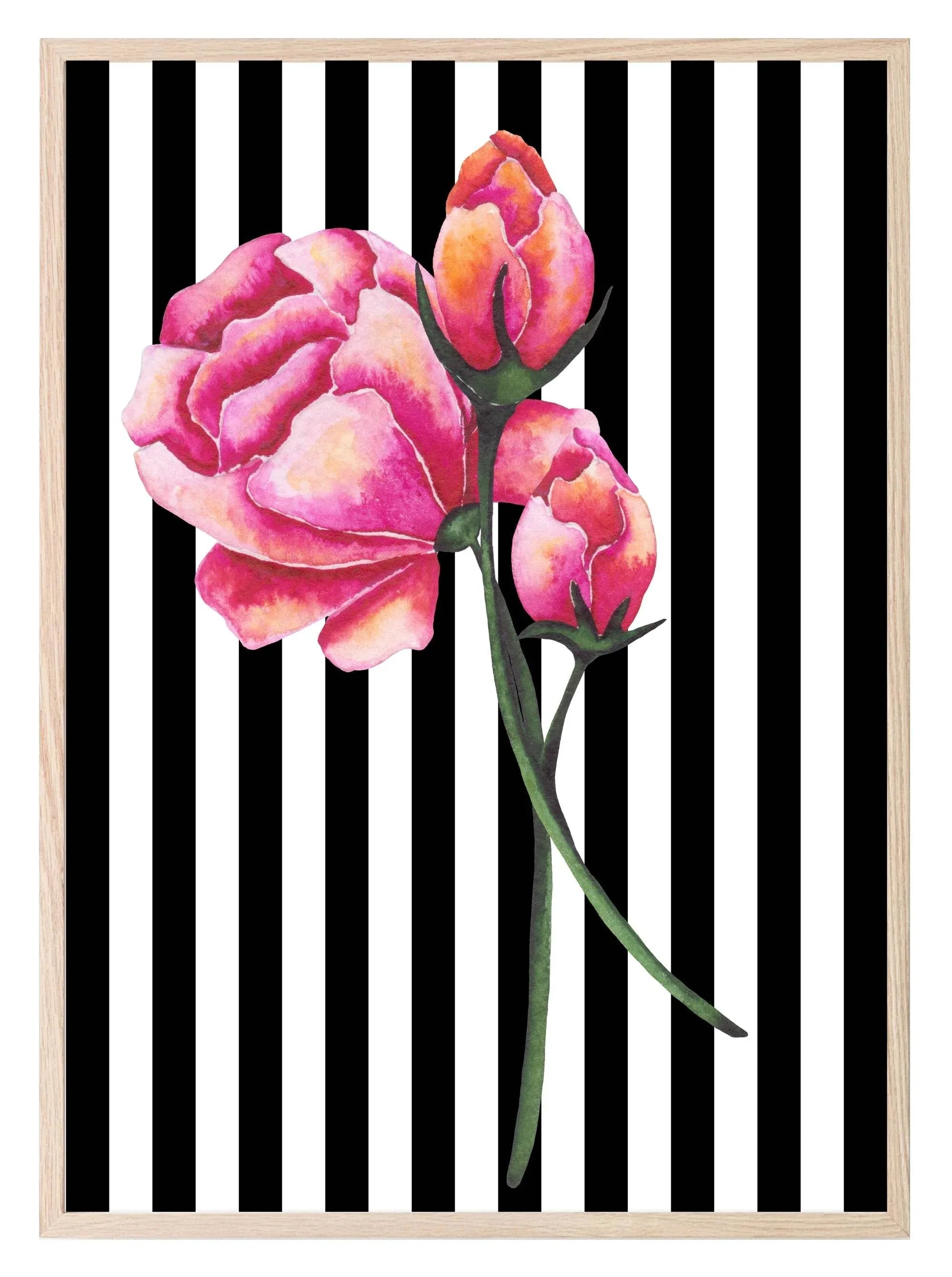 Roses & Stripes Print | Floral Wall Art - Larosier Prints