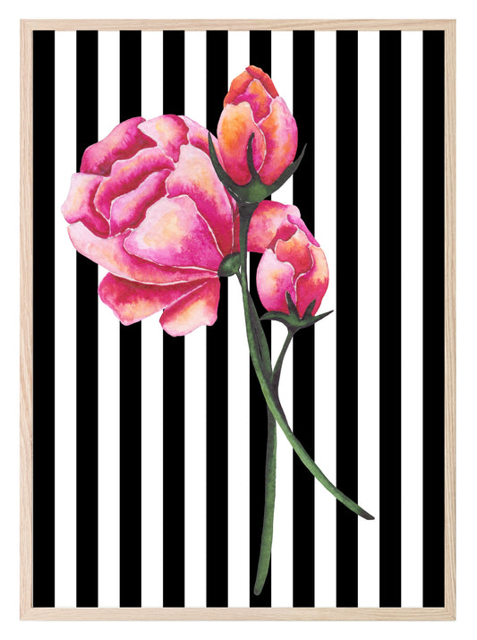 Roses & Stripes Print | Floral Wall Art