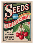 Cherry Seeds Print | Plant Seed Company | Vintage Wall Art - Larosier Prints