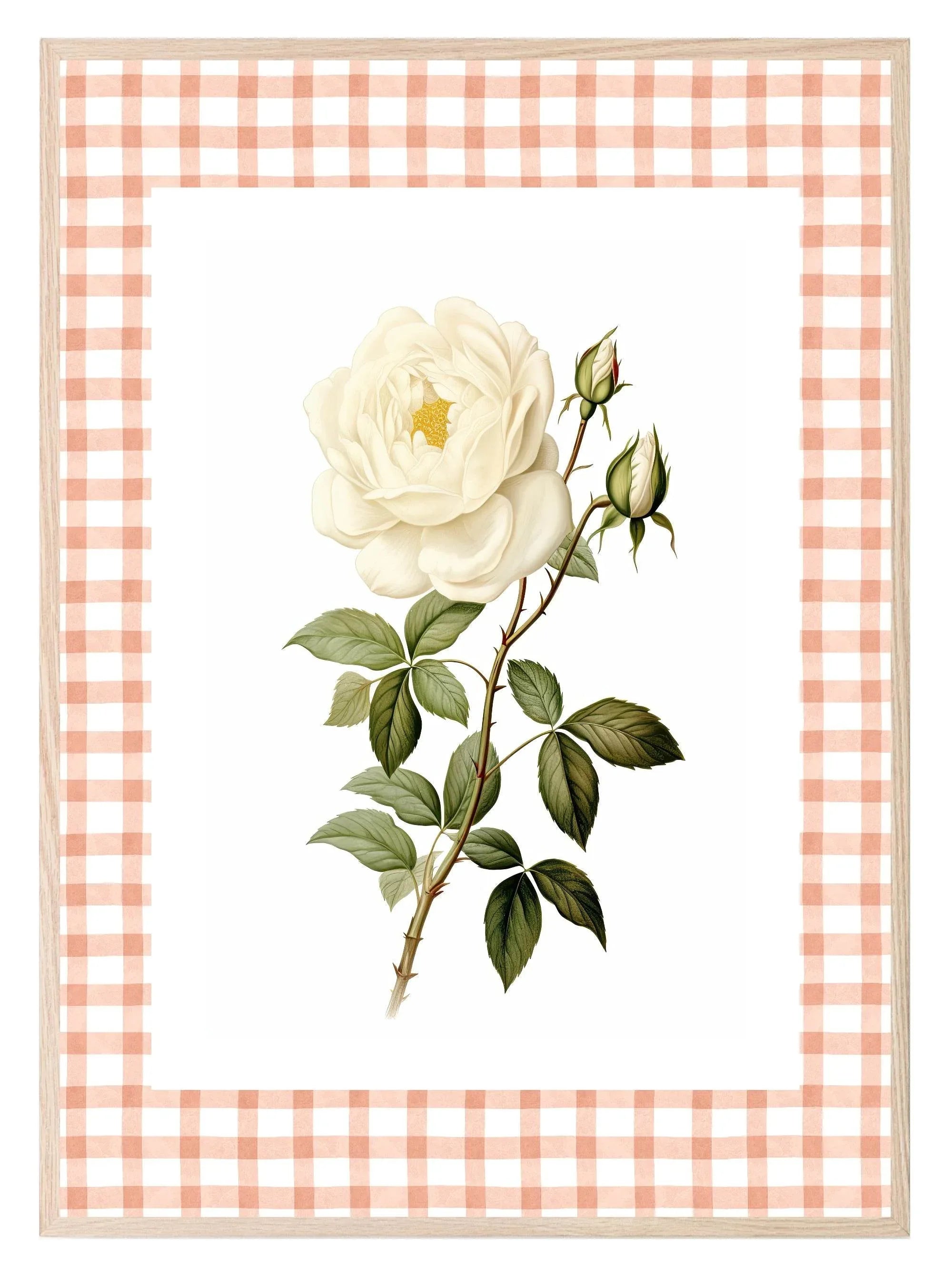 Checkerboard White Rose Print | Floral | Vintage Style Wall Art - Larosier Prints