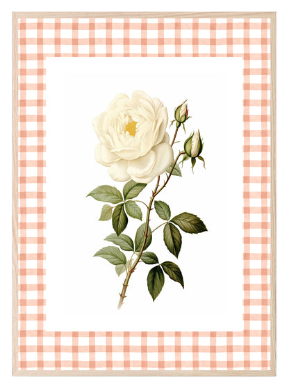 Checkerboard White Rose Print | Floral | Vintage Style Wall Art