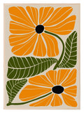 Abstract Flower Collection | Botanical Wall Art - Larosier Prints