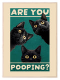 Are You Pooping Cats Print | Bathroom Wall Art - Larosier Prints