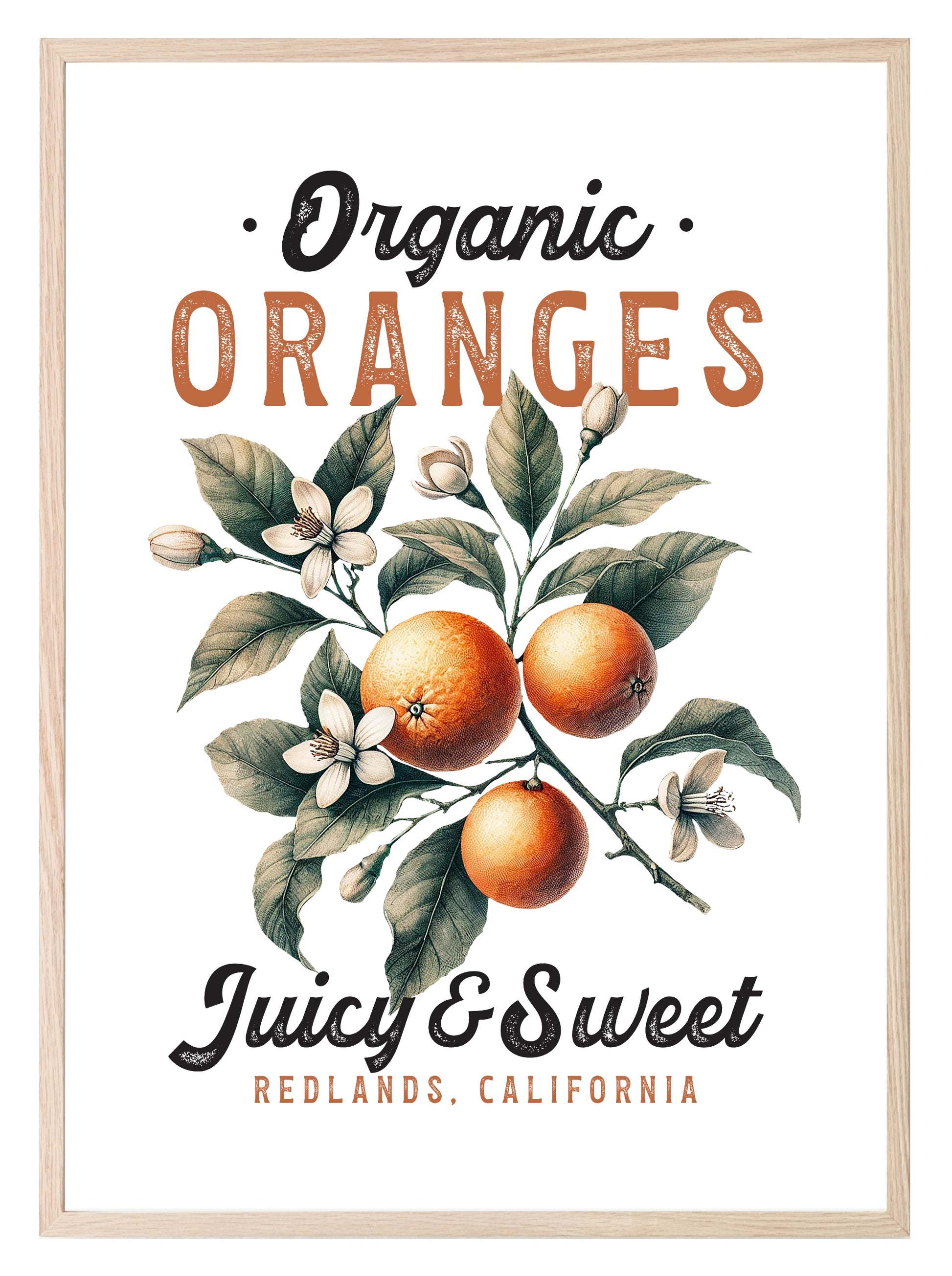 Organic Oranges Print | Juicy & Sweet | Botanical Wall Art