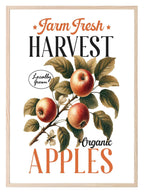 Farm Fresh Harvest Organic Apples Print | Locally Grown | Botanical Wall Art - Larosier Prints
