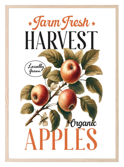 Farm Fresh Harvest Organic Apples Print | Locally Grown | Botanical Wall Art