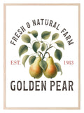 Golden Pear Print | Fresh & Natural Farm | Botanical Wall Art - Larosier Prints