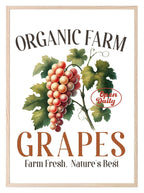 Organic Grapes Print | Farm Fresh, Nature's Best | Botanical Wall Art - Larosier Prints