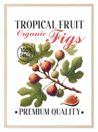 Organic Figs Print | Tropical Fruit | Botanical Wall Art - Larosier Prints
