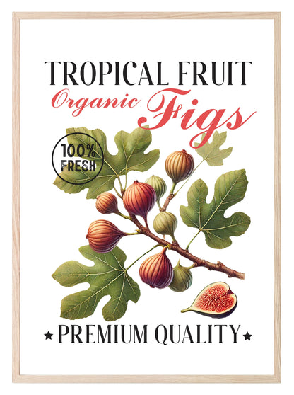 Organic Figs Print | Tropical Fruit | Botanical Wall Art