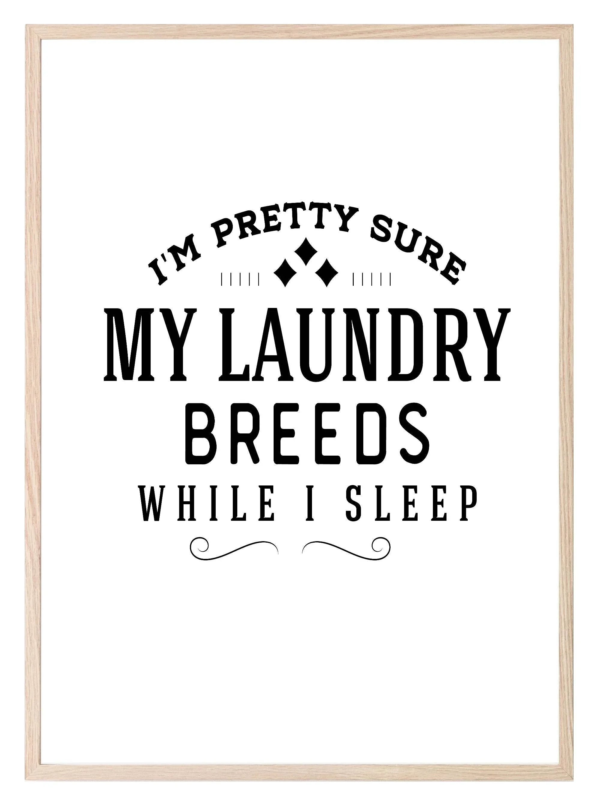 I'm Pretty Sure My Laundry Breeds While I Sleep Print | Laundry Wall Art - Larosier Prints