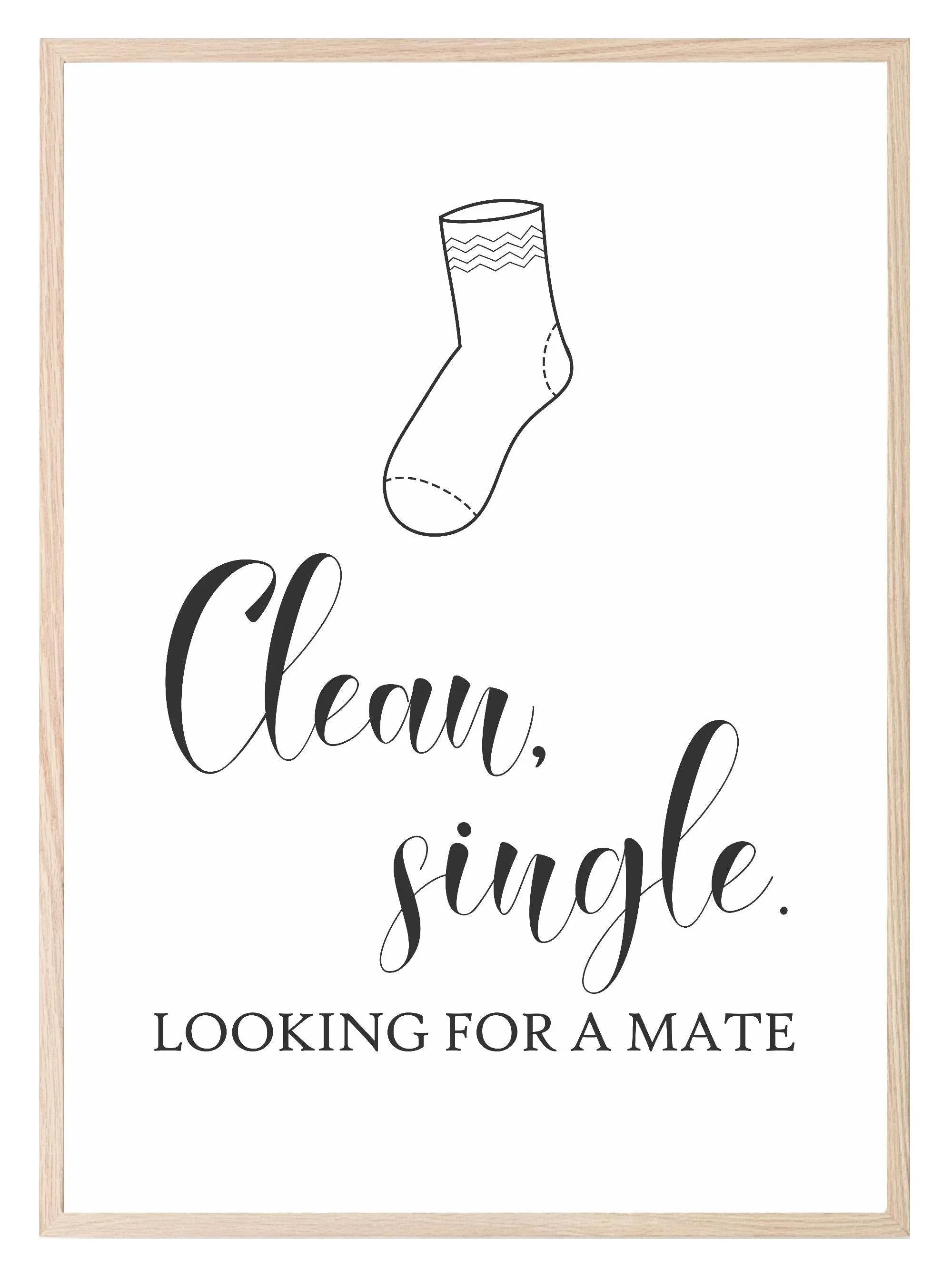 Clean, Single Print | Looking For A Mate | Laundry Wall Art - Larosier Prints