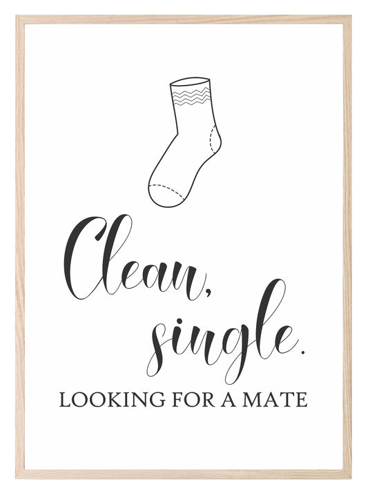 Clean, Single Print | Looking For A Mate | Laundry Wall Art