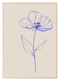 Flower Print | Blue Line Drawing | Beige | Line Art - Larosier Prints
