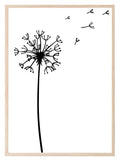 Line Drawing Dandelion Print | Line Art - Larosier Prints