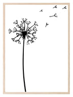 Line Drawing Dandelion Print | Line Art - Larosier Prints