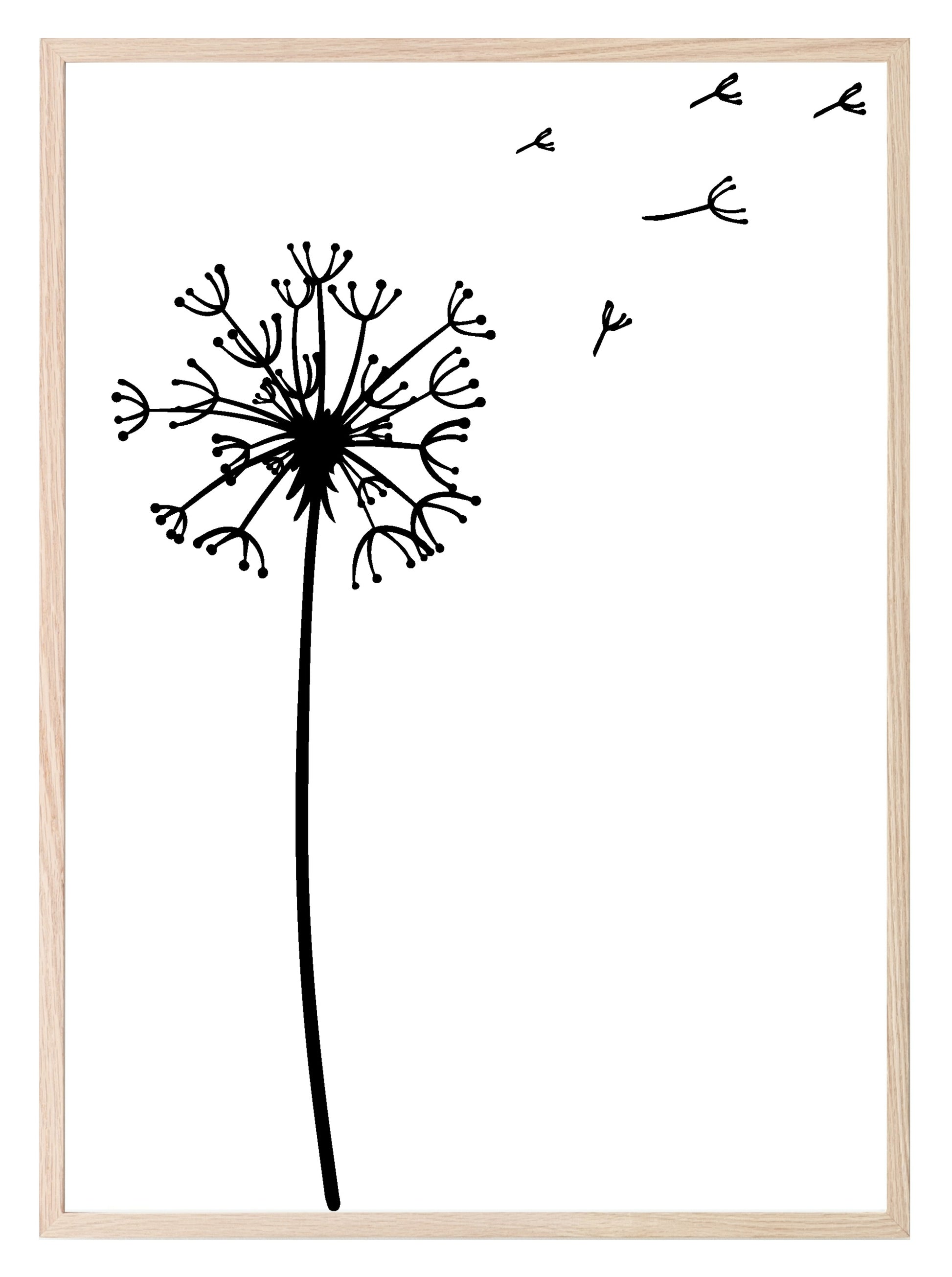 Line Drawing Dandelion Print | Line Art