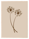 Line Drawing Dandelion Pair Print | Line Art - Larosier Prints