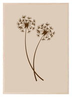 Line Drawing Dandelion Pair Print | Line Art - Larosier Prints