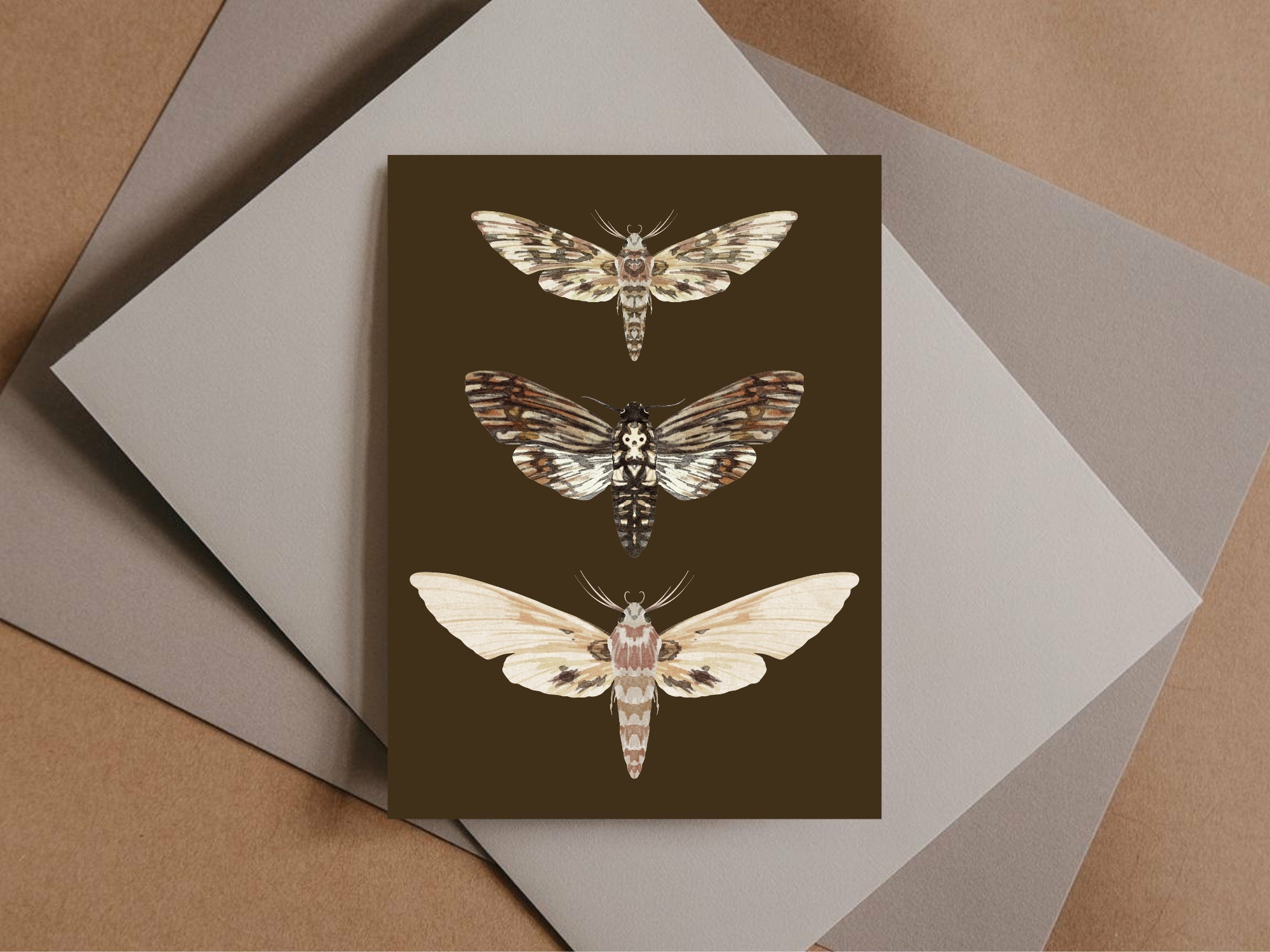 Pack of 10 Dark Romance Vintage Moth Wedding Invitations