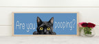 Are You Pooping? Cat Panoramic Sign | Fun Bathroom Wall Art Print | Colour Options