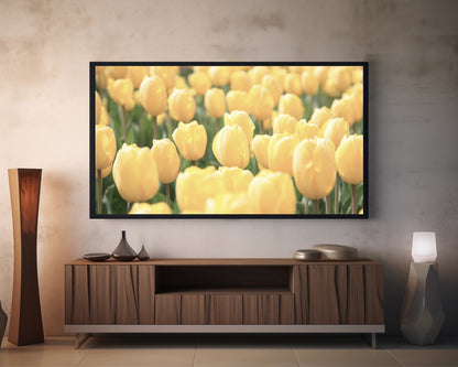 Yellow Tulip | Spring Blooming | Frame TV Art | Digital Download 4K High Resolution