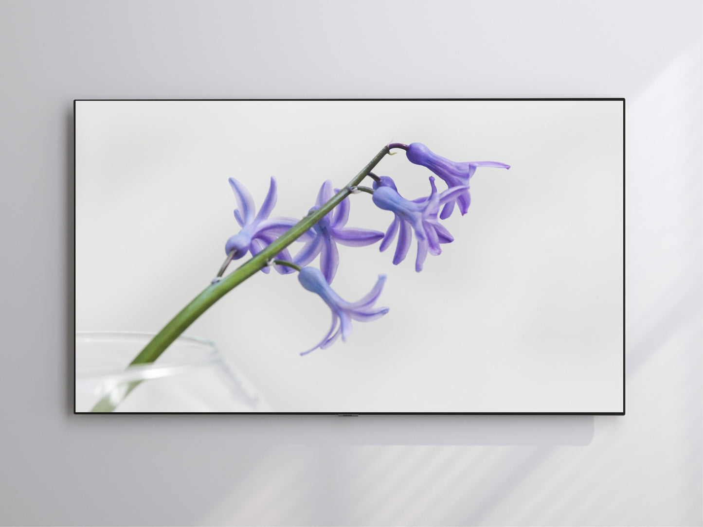 Purple Bloom | Spring Flower | Frame TV Art | Digital Download 4K High Resolution