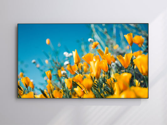 Orange Flowers | Spring Blooming | Frame TV Art | Digital Download 4K High Resolution