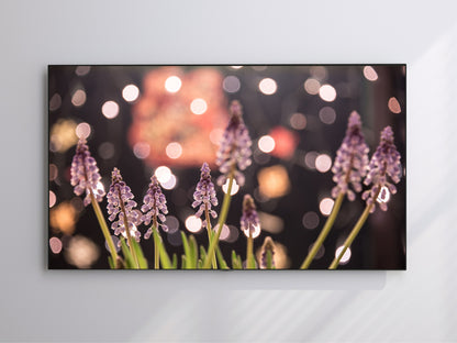 Hyacinths | Spring Blooming | Frame TV Art | Digital Download 4K High Resolution