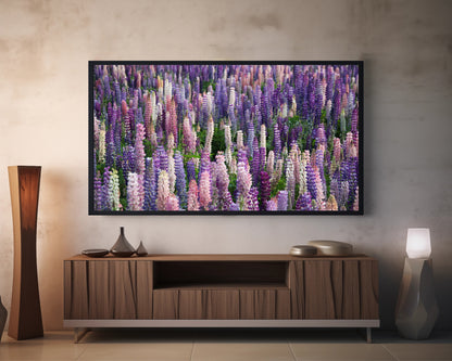 Lupine Flowers | Spring Blooming | Frame TV Art | Digital Download 4K High Resolution